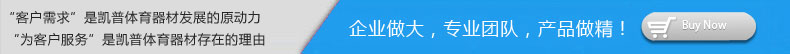 天鷹兄弟